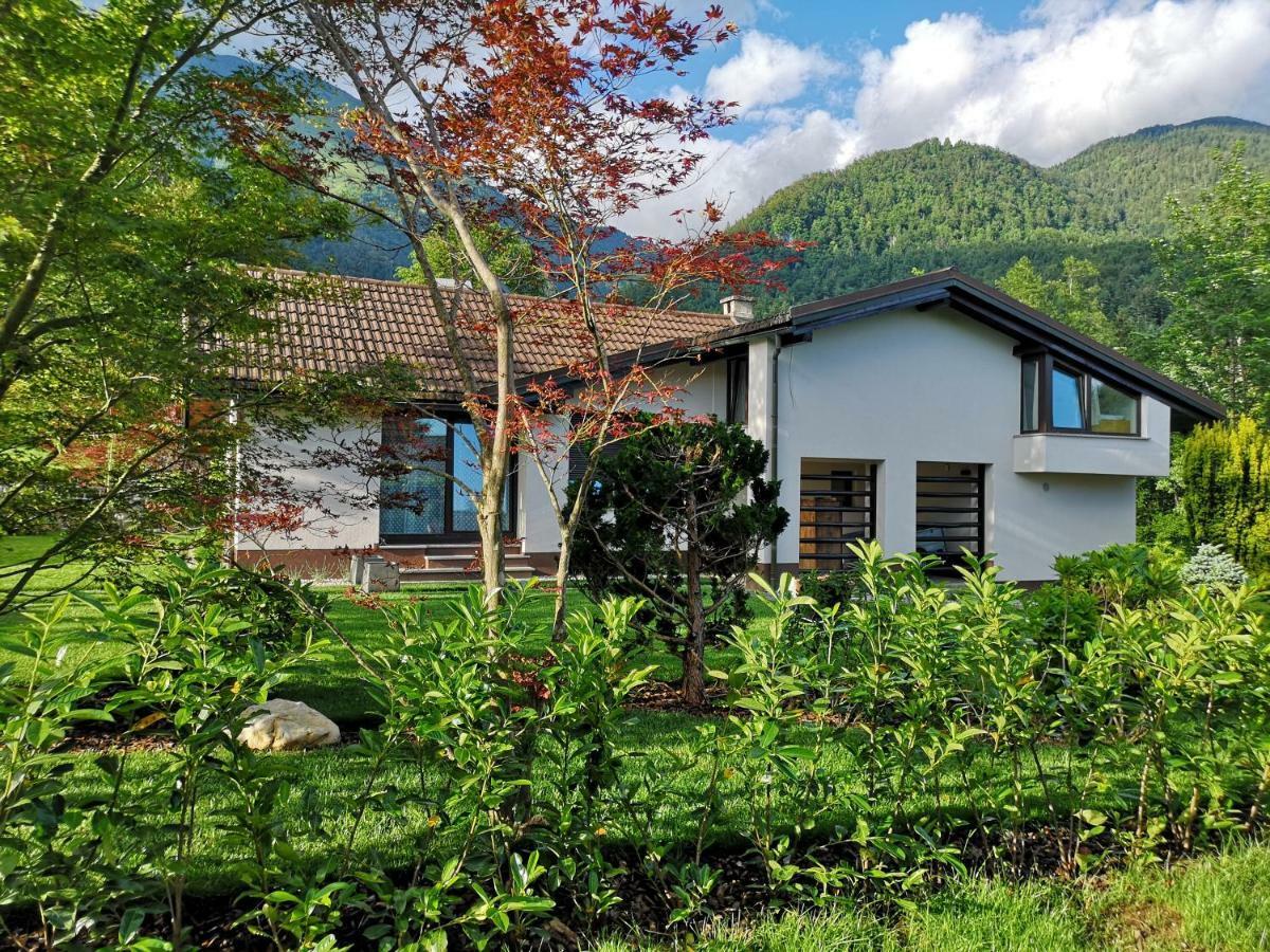 Holiday House Red Deer 普雷德沃尔 外观 照片